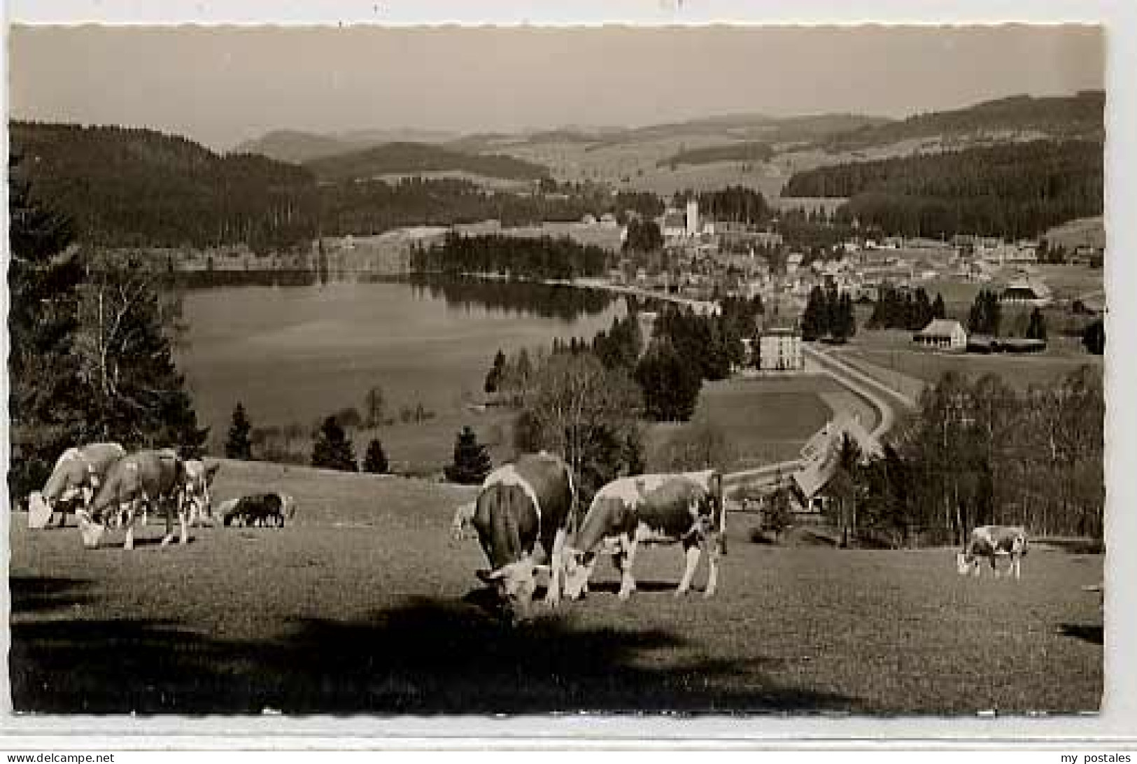 Titisee-Neustadt Titisee Neustadt