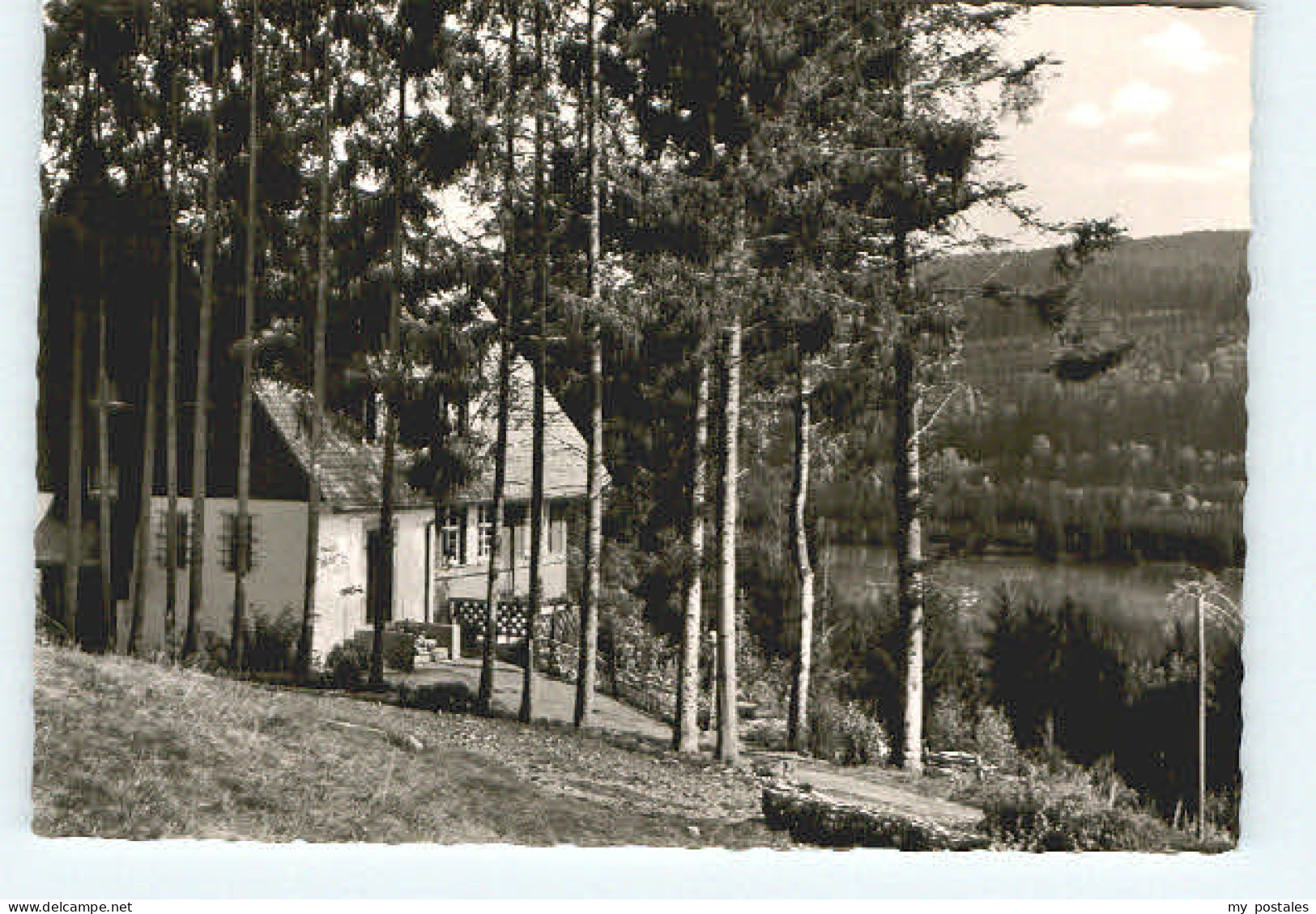 Titisee-Neustadt Titisee Neustadt Hinterzarten