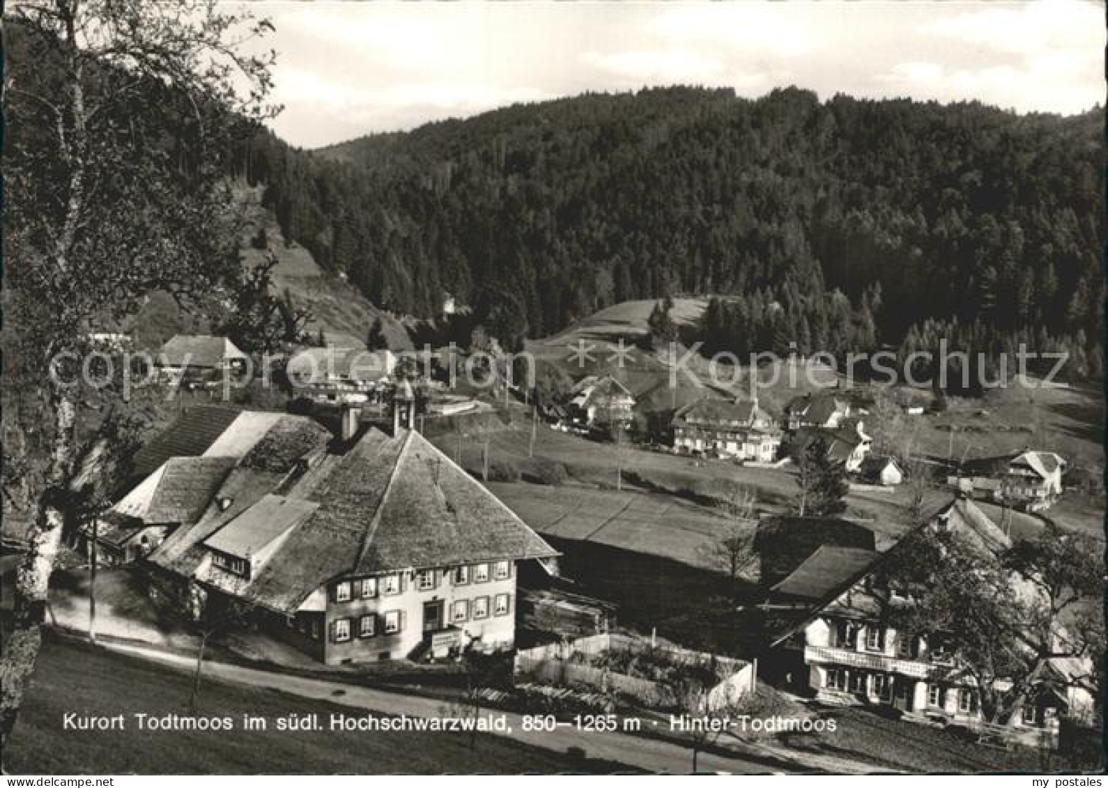 Todtmoos Schwarzwald BW OT Hinter Todtmoos