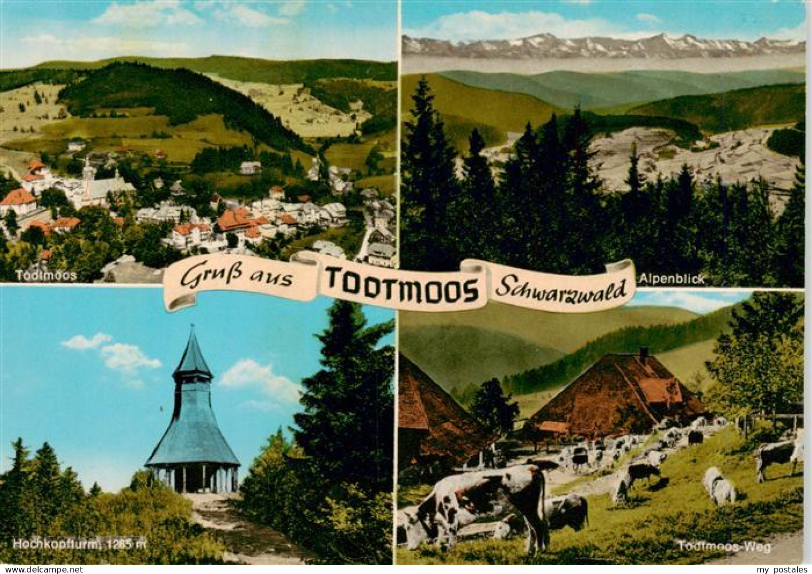 Todtmoos Schwarzwald BW Panorama Alpenblick Hochkopfturm Todtmoos Weg