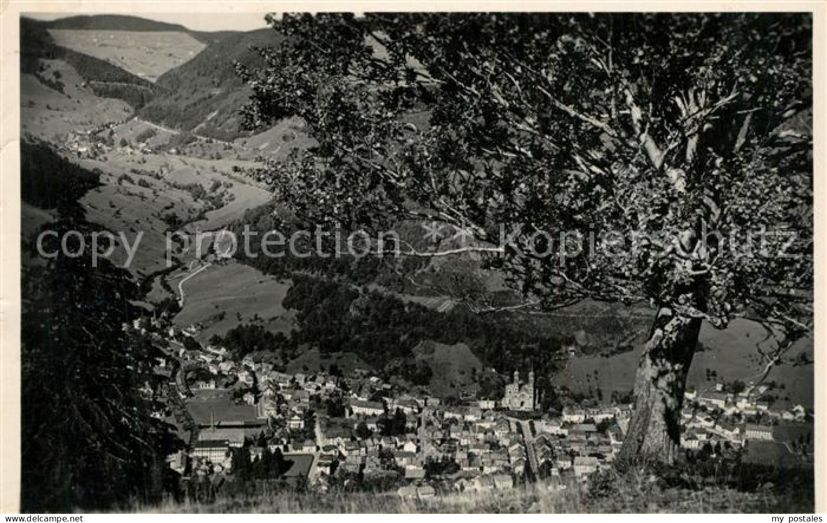 Todtnau Schwarzwald BW