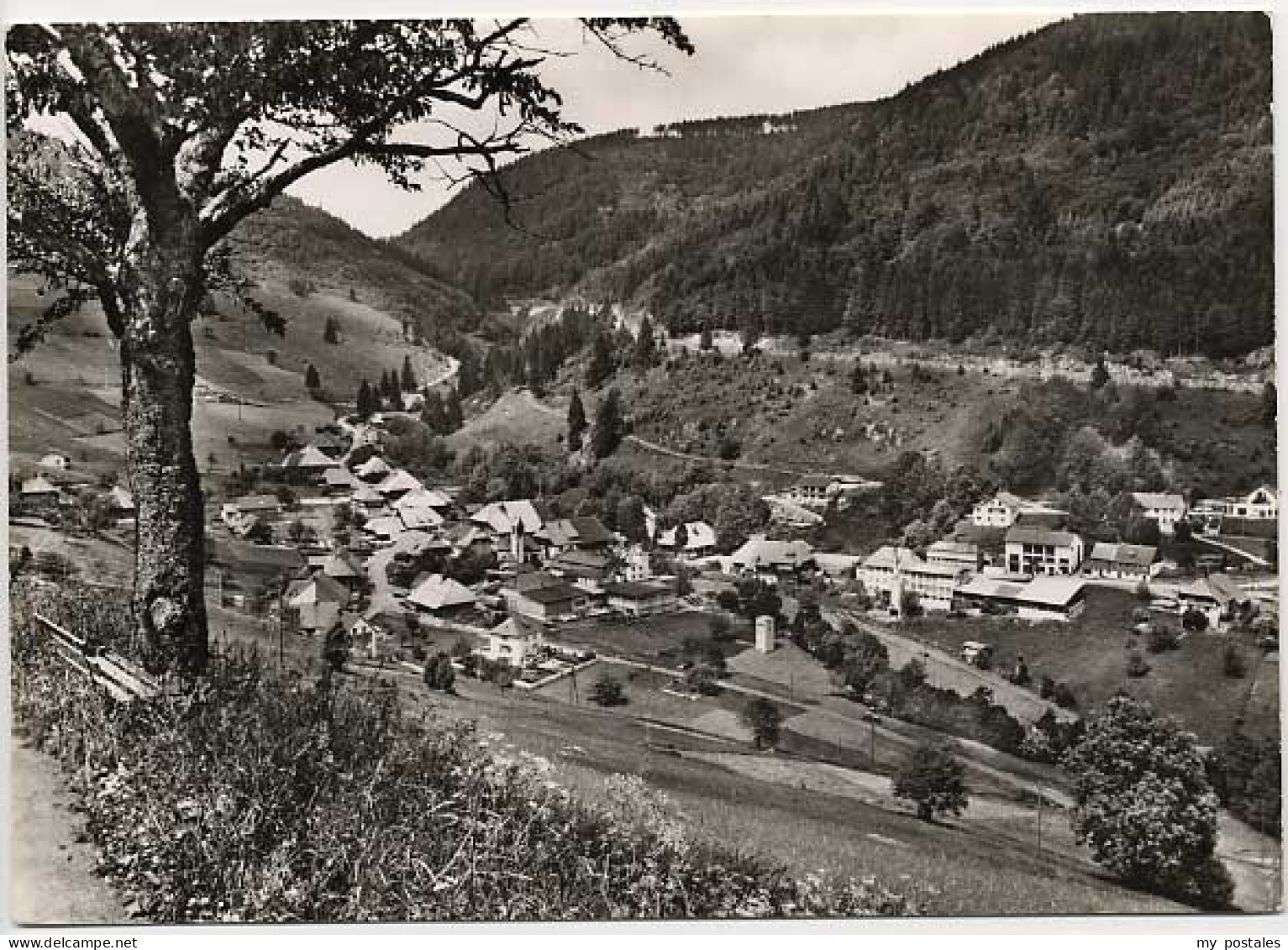 Todtnau Schwarzwald BW Aftersteg
