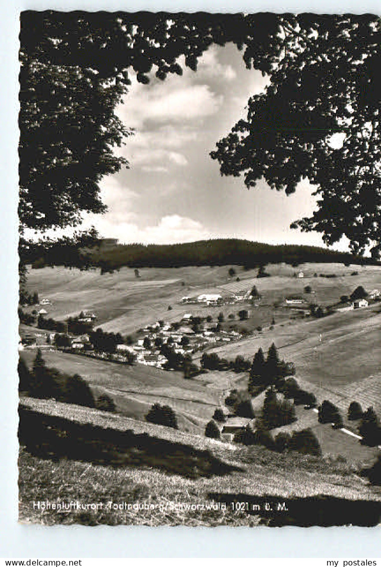 Todtnau Schwarzwald BW Todtnauberg