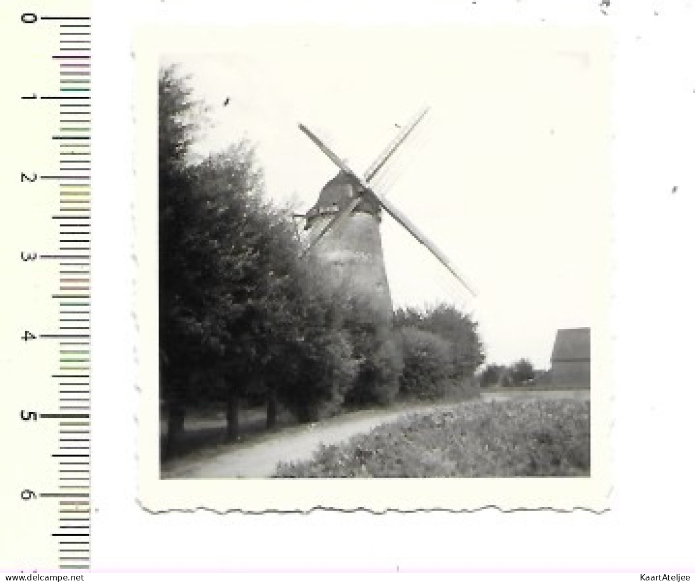 Tollembeek 1947 - Foto Molen - Moulin.