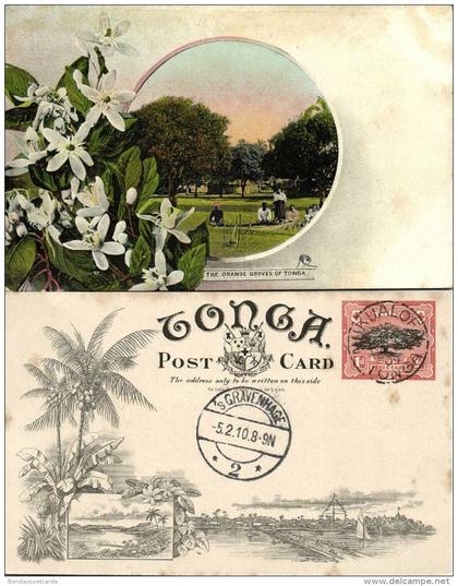 tonga islands, The Orange Groves (1909) Pre-Printed Stamp