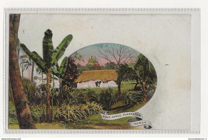Tonga. Pine-apple plantation. *