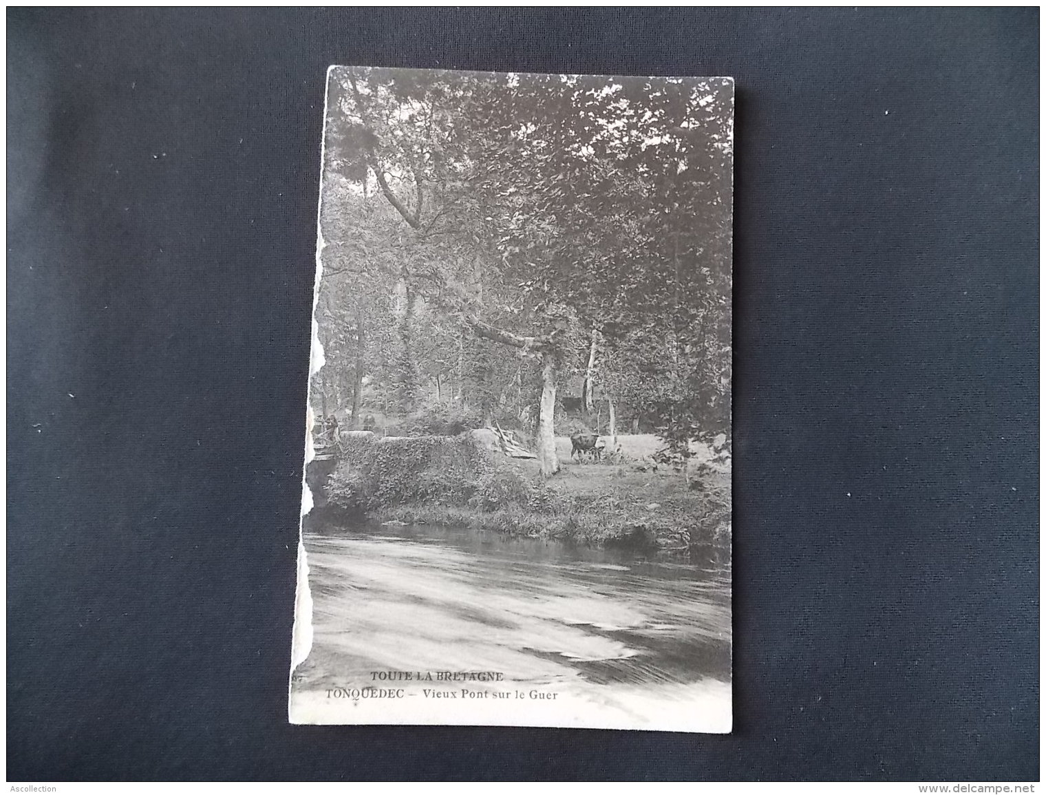 Tonquedec Vieux Pont sur Le Guer