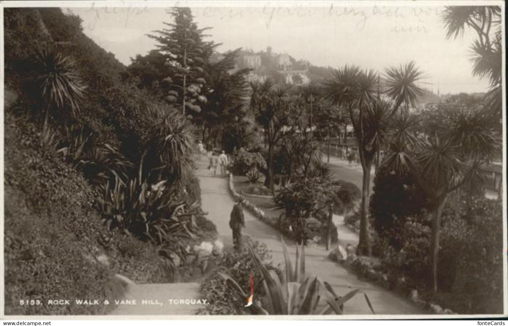 Torquay Rock Walk
Vane Hill