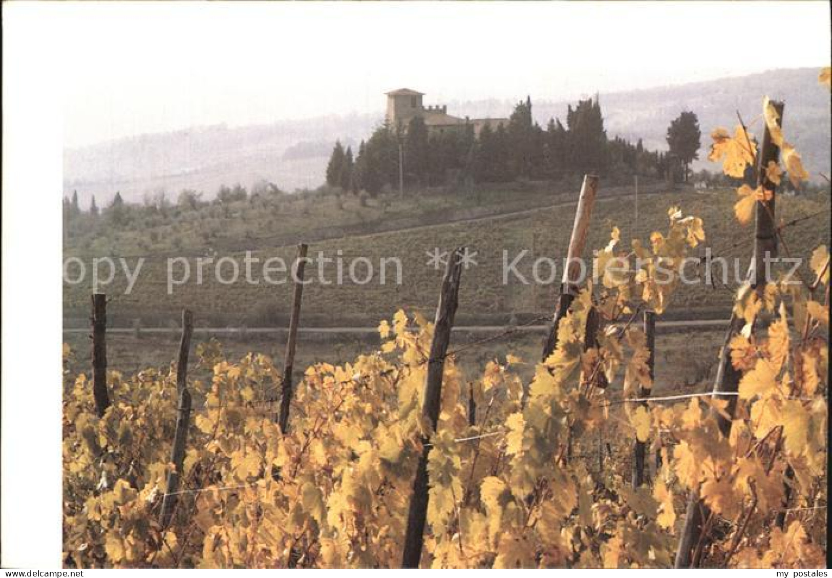 Toscana Panorama