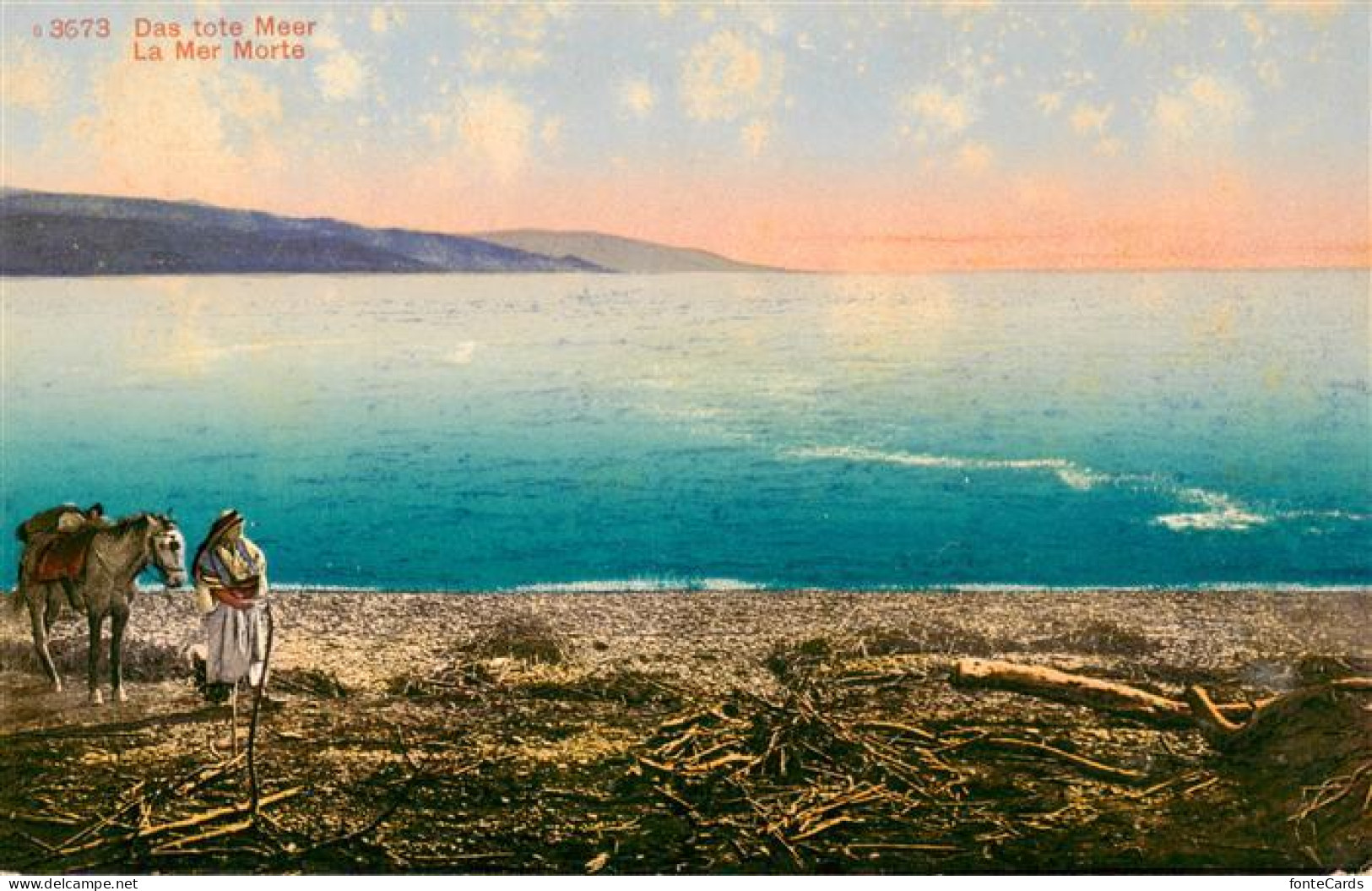 Totes Meer Dead Sea Israel Panorama