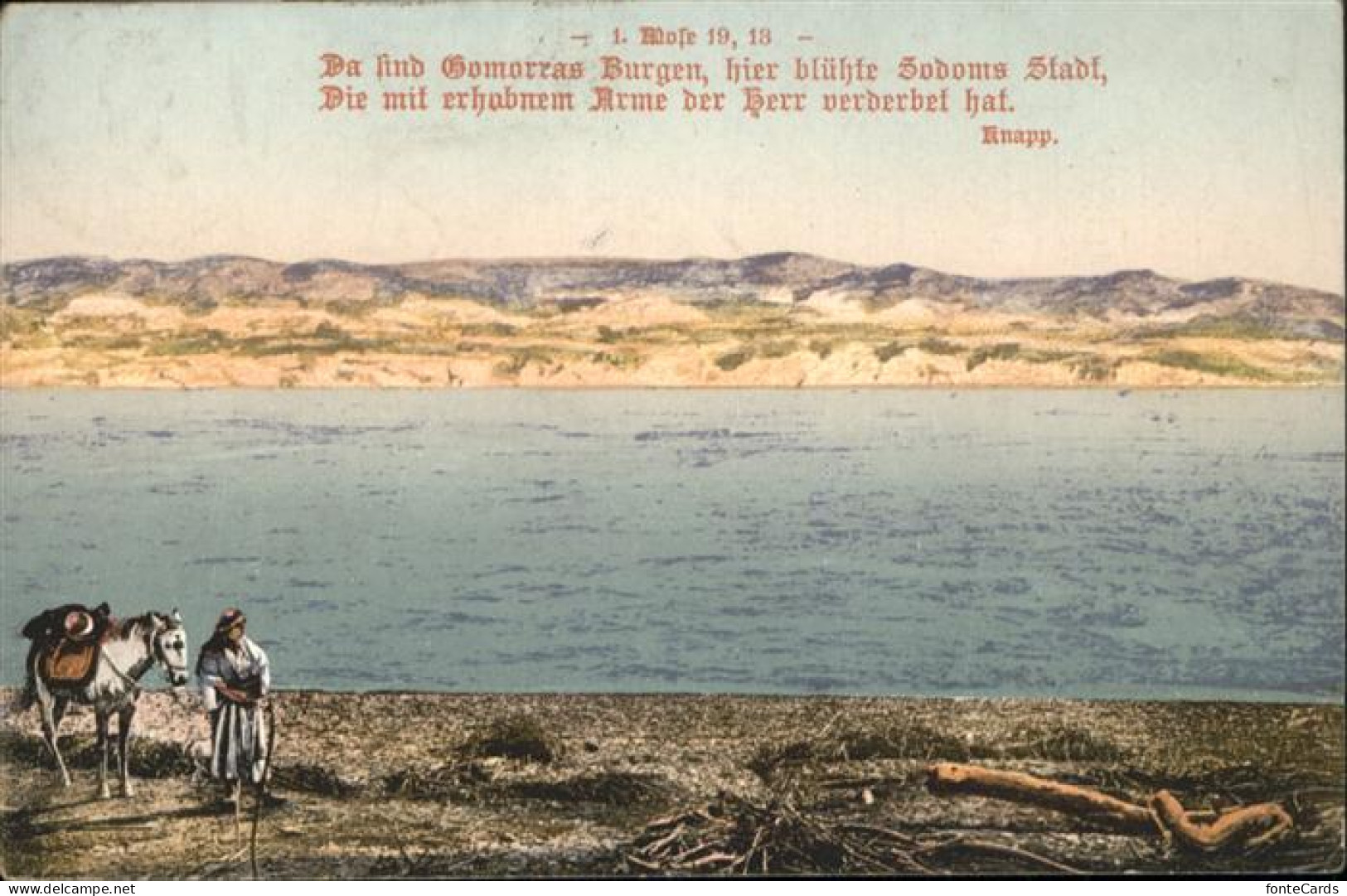 Totes Meer Dead Sea Israel Psalm