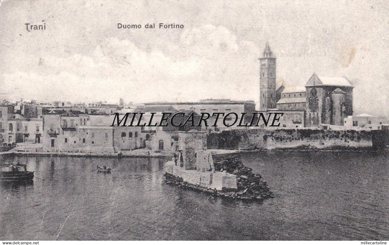 TRANI: Duomo dal Fortino    1907