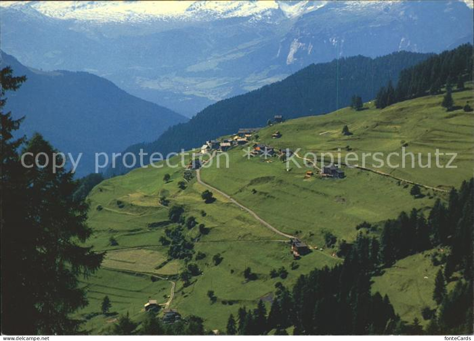 Trans Hinterrhein