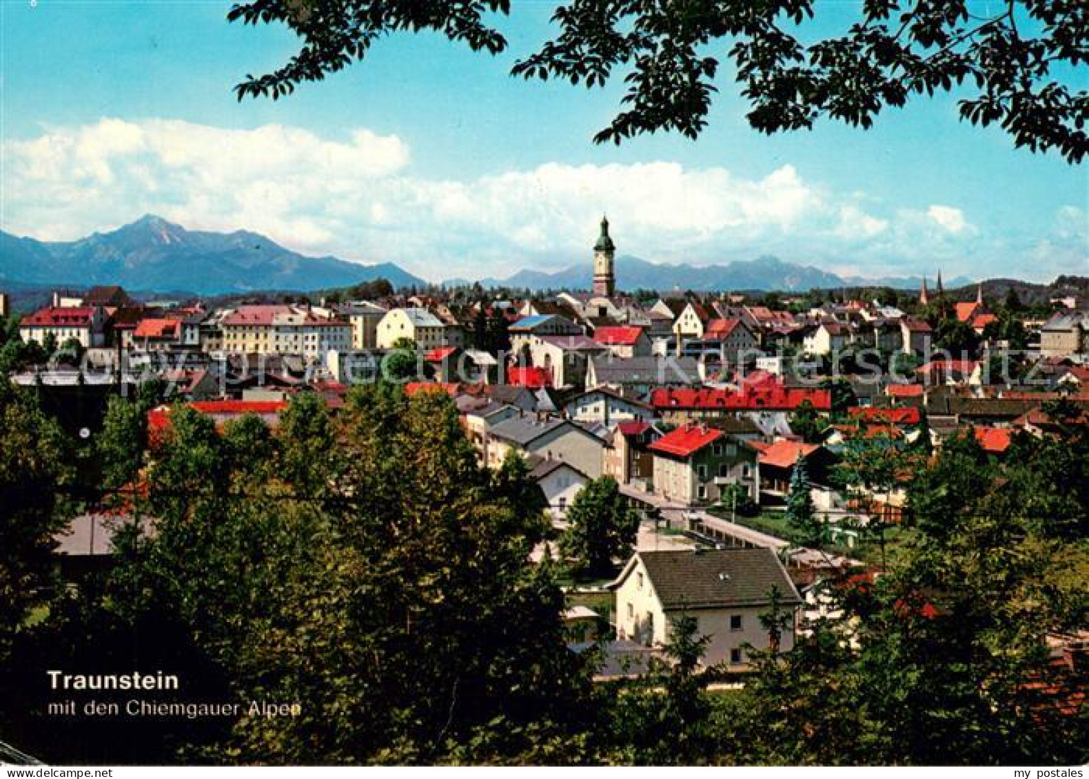 Traunstein Oberbayern Stadtpanorama mit Chiemgauer Alpen
