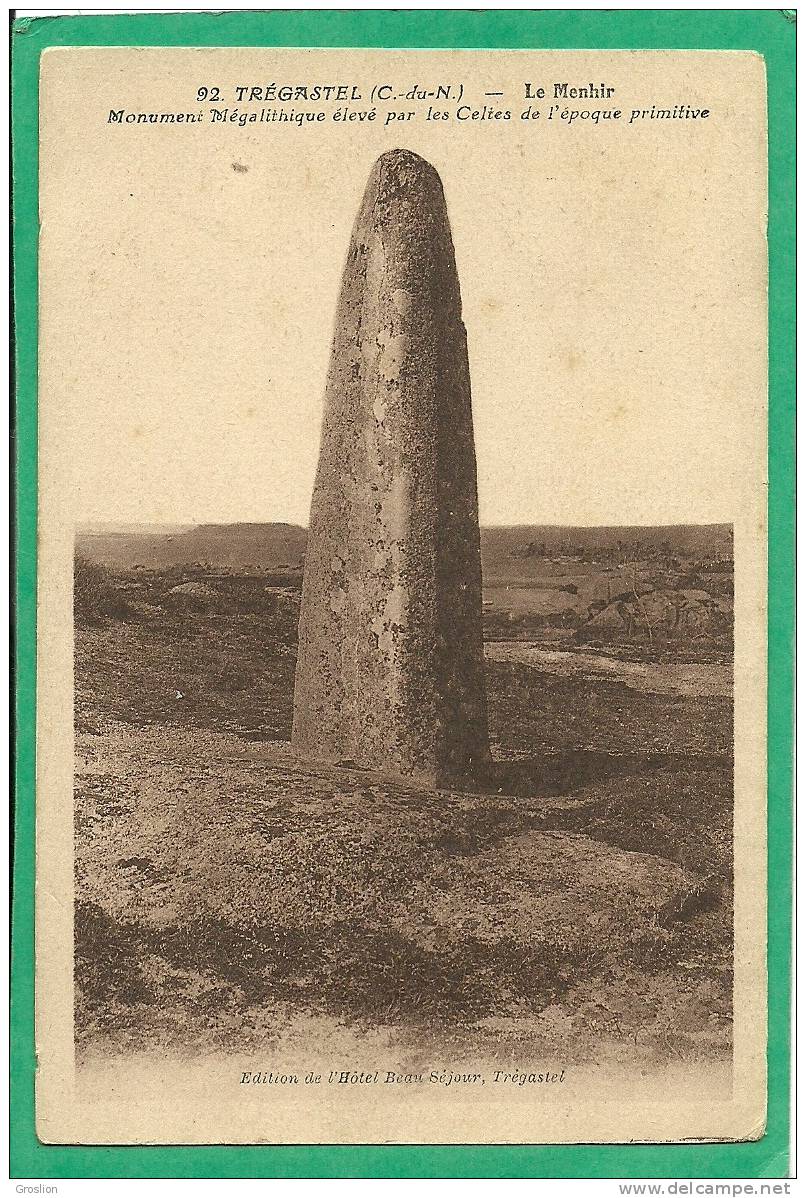 TREGASTEL N° 92 LE MENHIR MONUMENT MEGALITHIQUE ELEVE PAR LES CELTES DE L EPOQUE PRIMITIVE