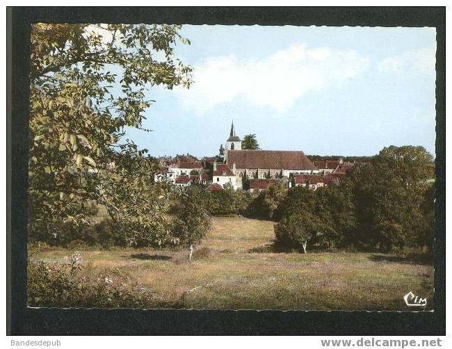 TREIGNY - Vue générale ( COMBIER CIM 891966)