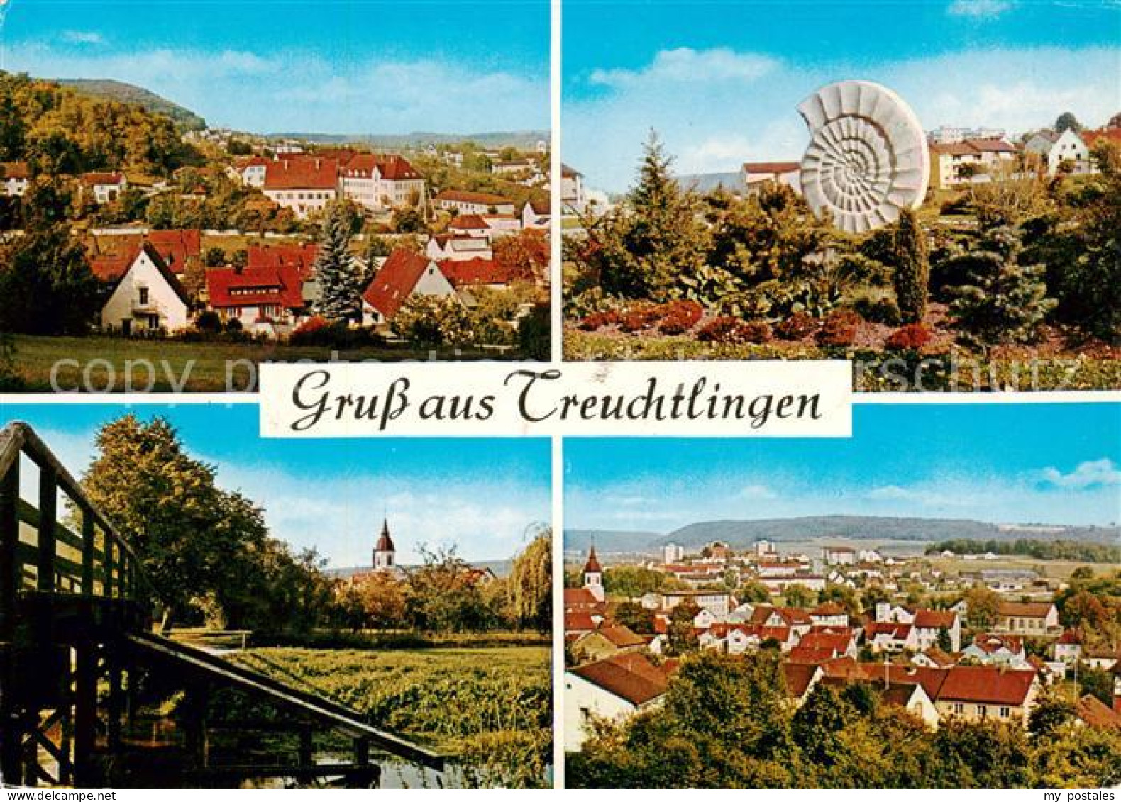 Treuchtlingen Panorama Versteinerung
