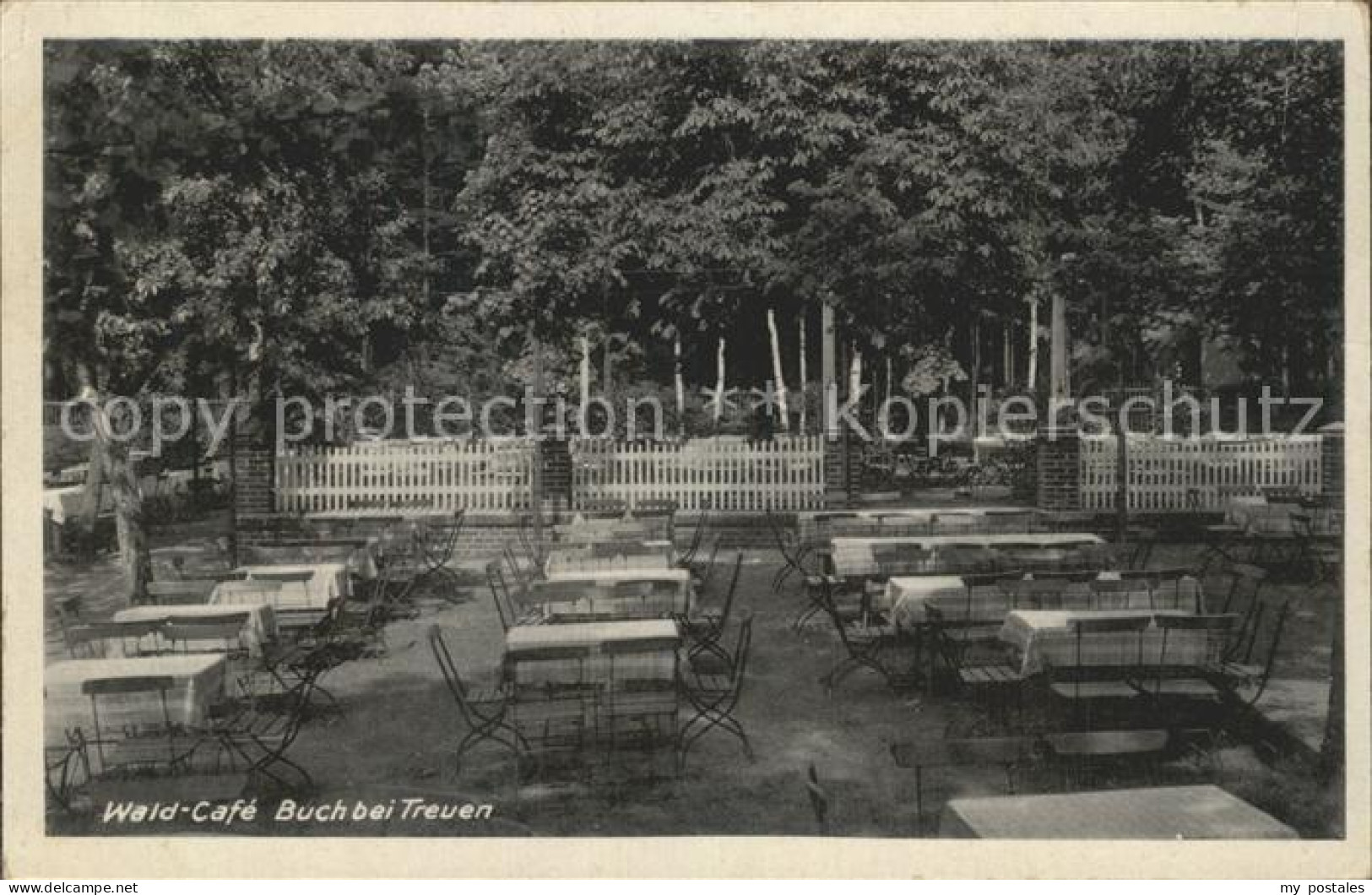 Treuen Wald Cafe Buch