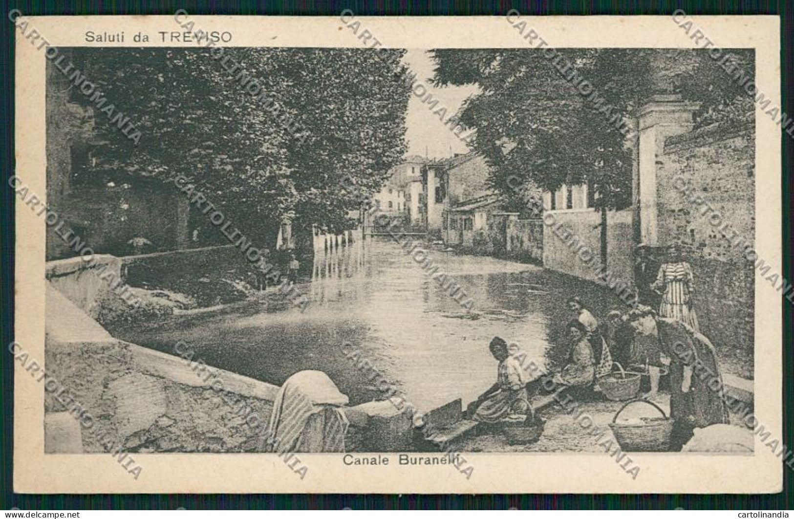 Treviso città cartolina QK2465