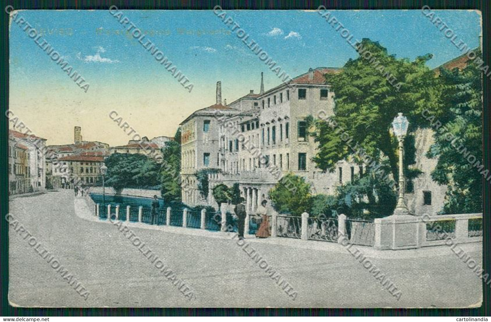 Treviso Città cartolina ZC1445