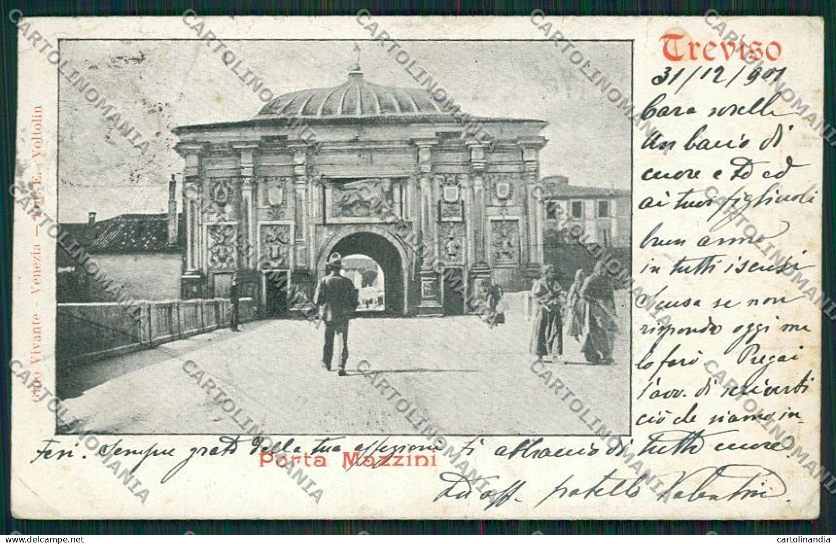 Treviso Città cartolina ZC1570