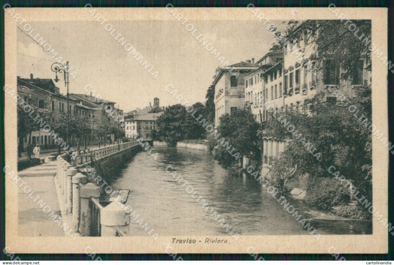 Treviso Città cartolina ZKM8822