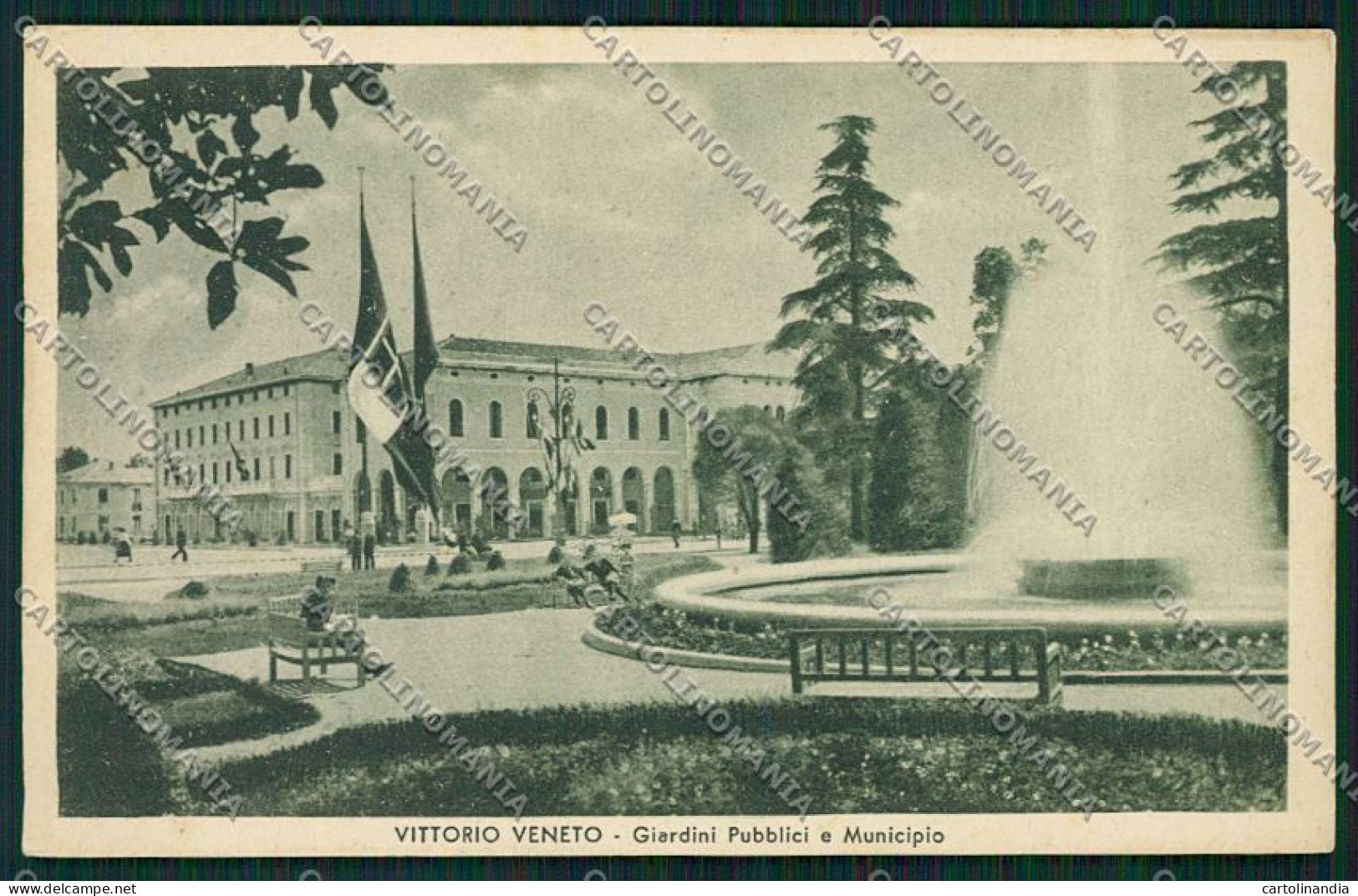 Treviso Vittorio Veneto cartolina QK2589