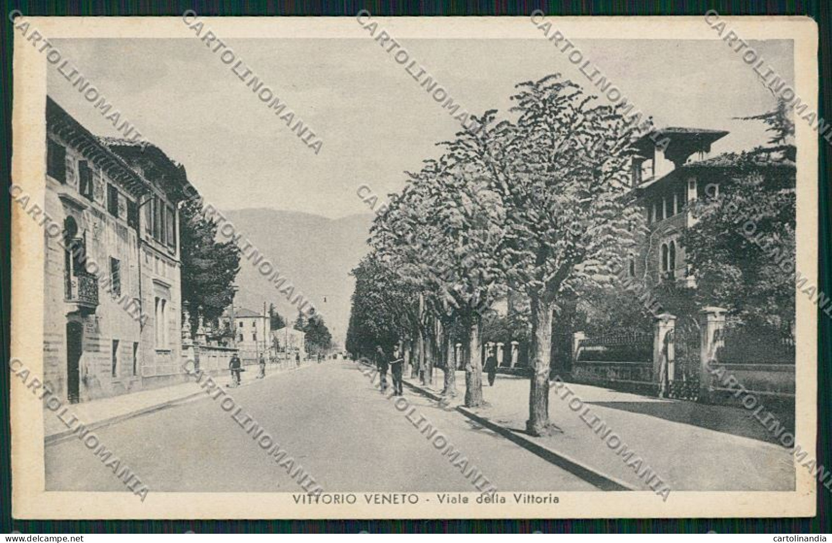 Treviso Vittorio Veneto cartolina QK2594