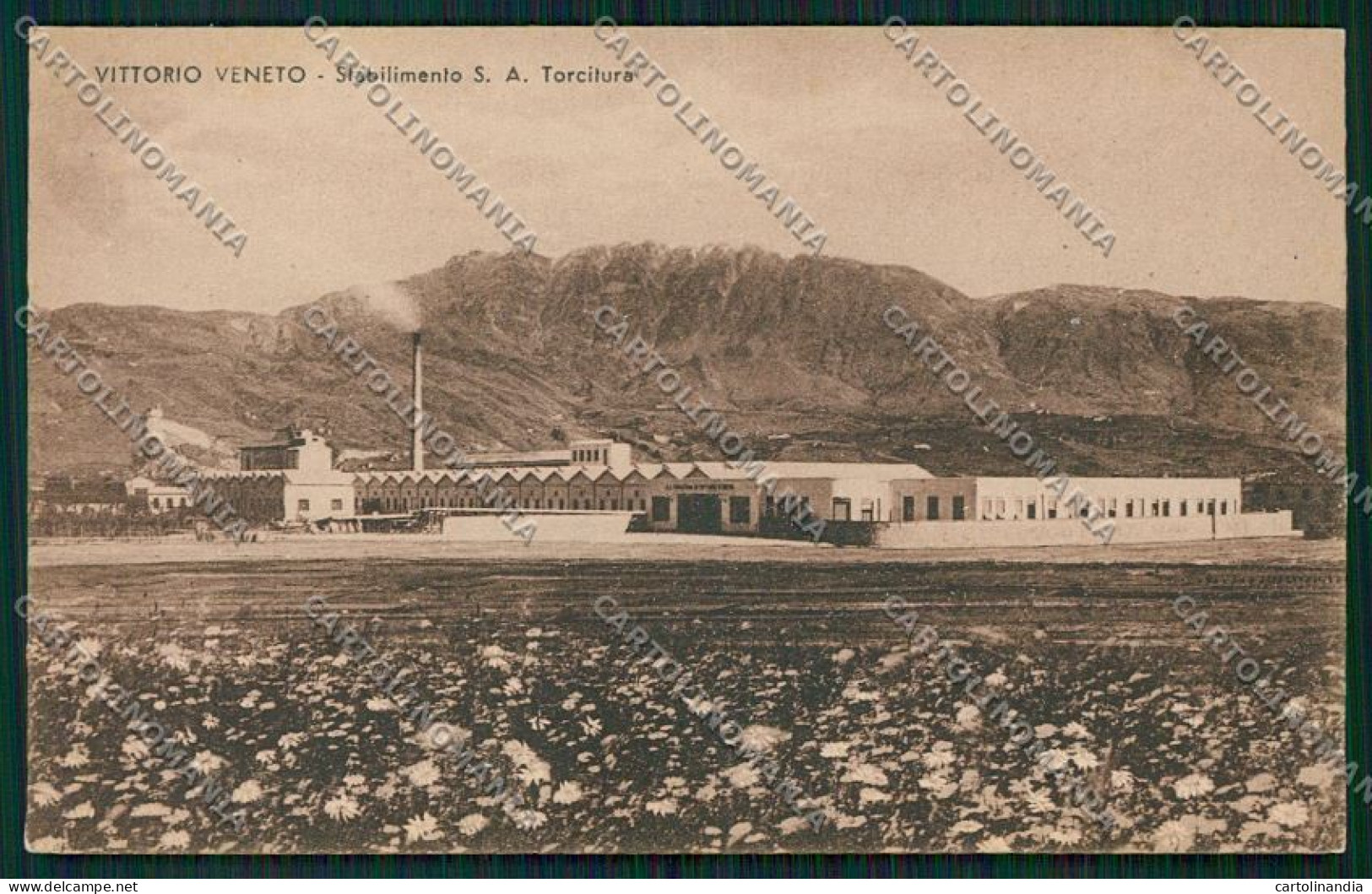 Treviso Vittorio Veneto cartolina QK4629