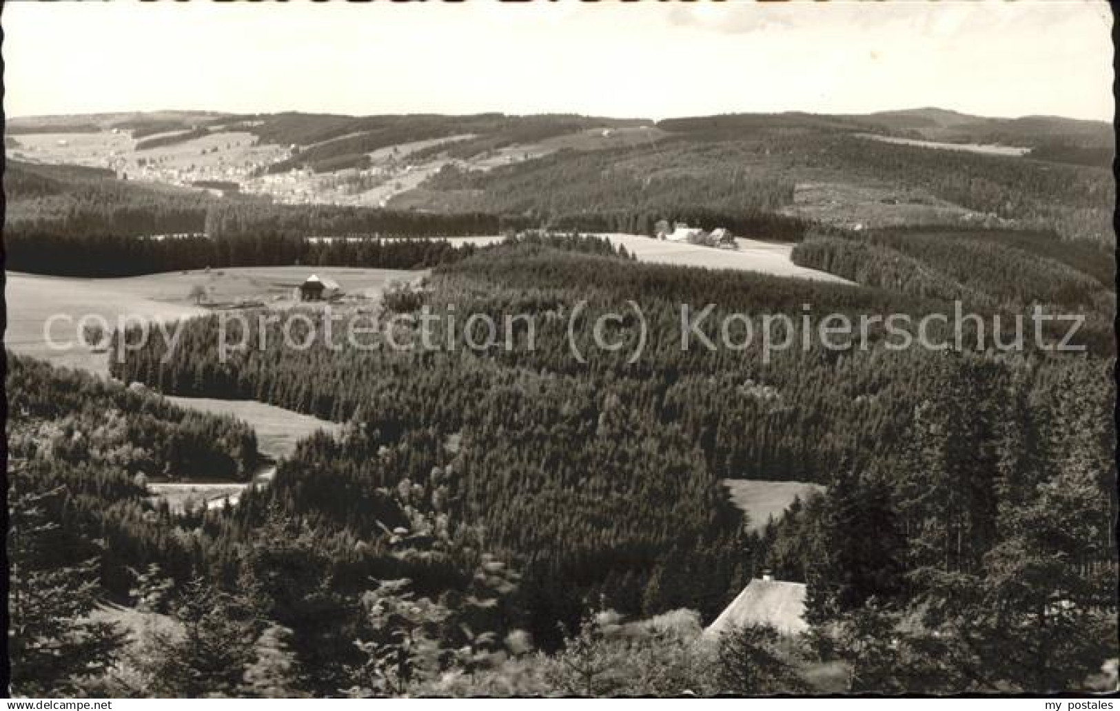 Triberg ---