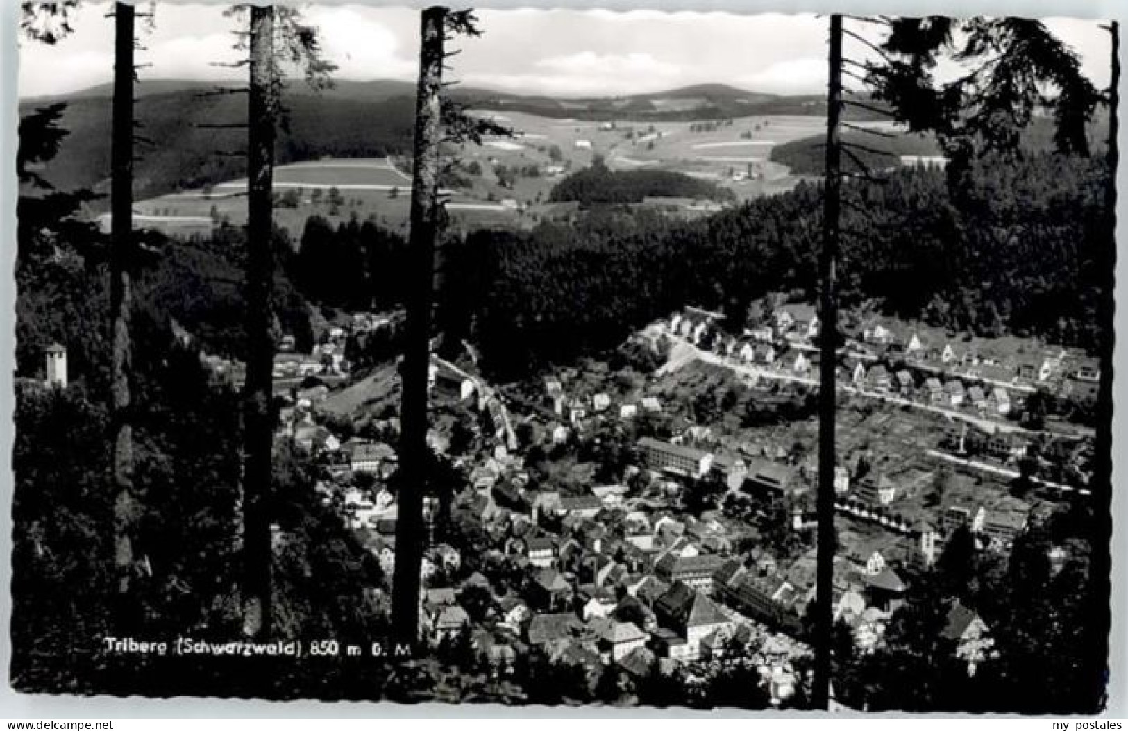 Triberg