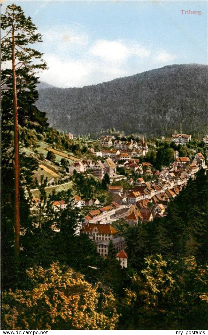 Triberg Panorama