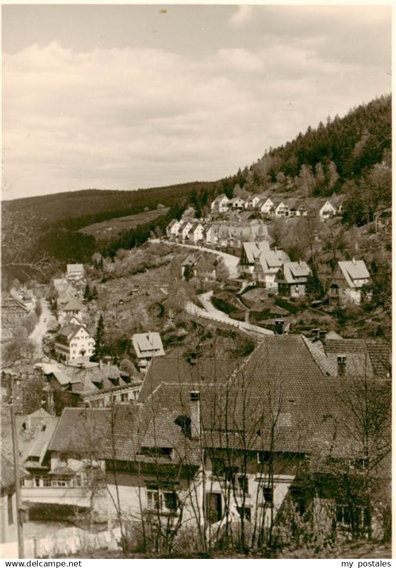 Triberg Panorama