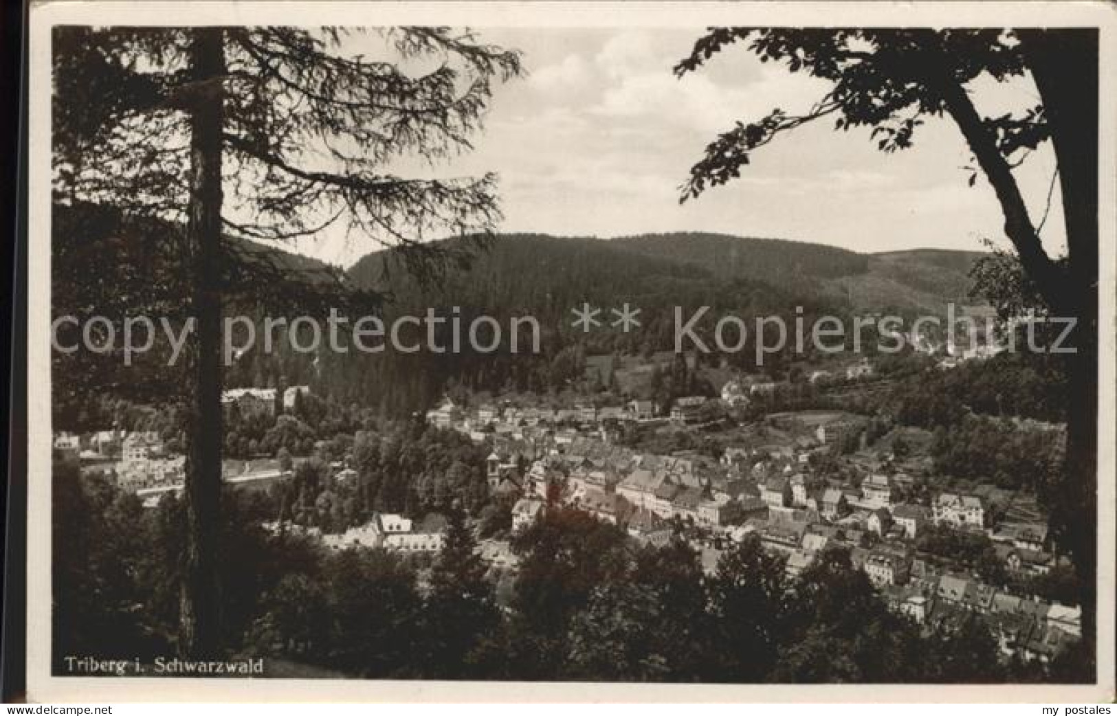 Triberg Panorama