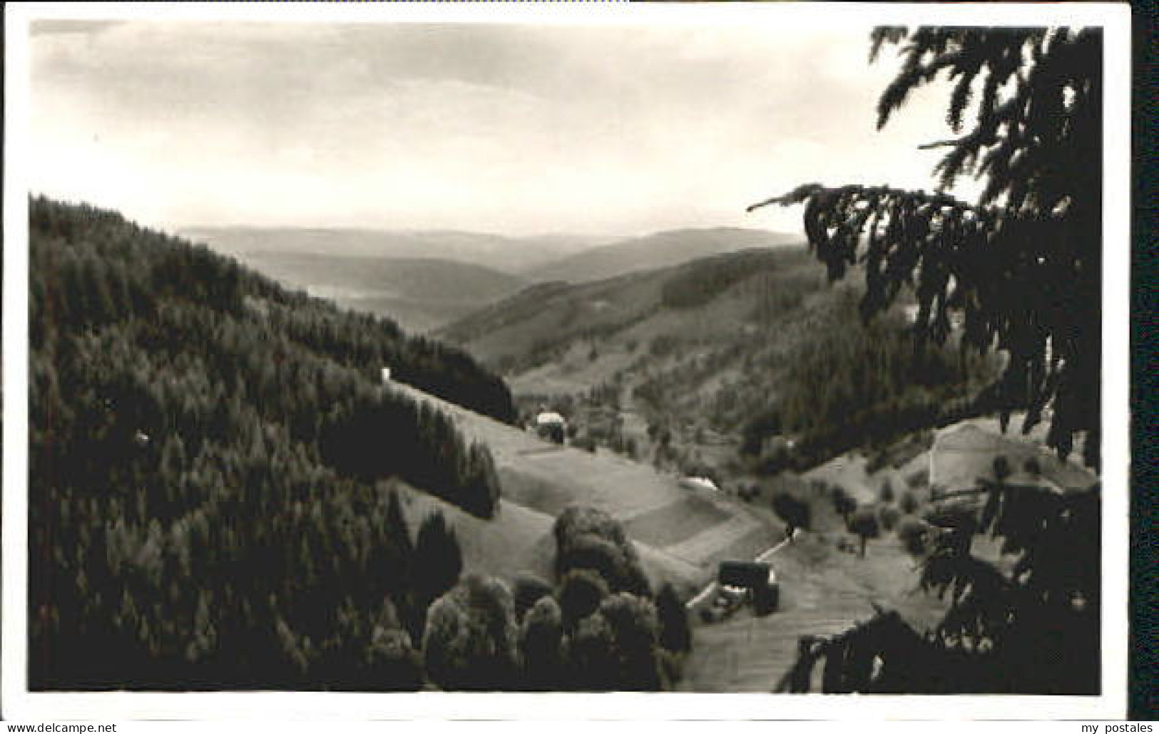 Triberg Schwarzwald Nussbachtal bei Triberg