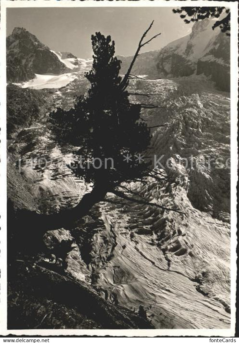 Trient Martigny Glacier du Trient