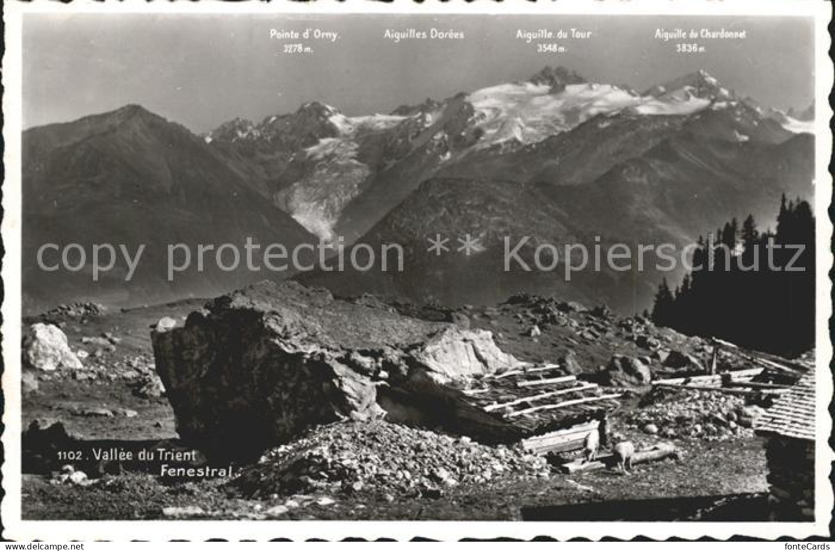 Trient Rhone Fenestal Pointe d  Orny Aiguille de Chardonnet