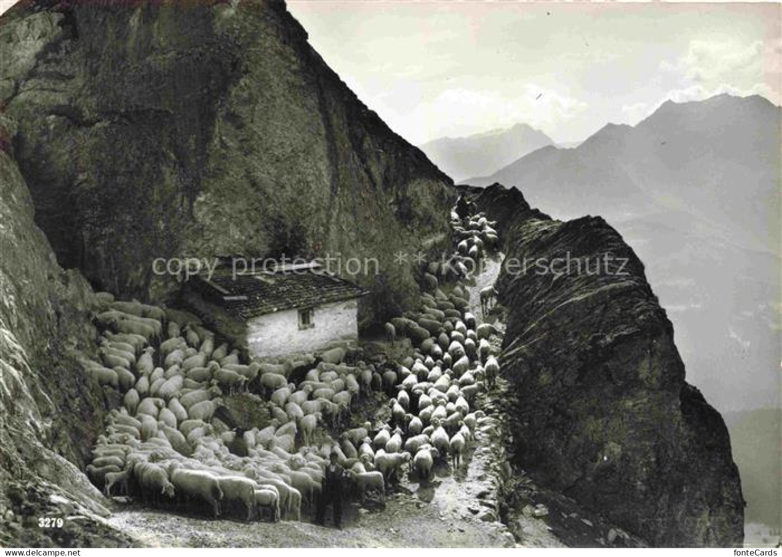 Trin Imboden GR Alp-Mora Schafsherde Bergpfad Alpenhuette Felsen Gebirge