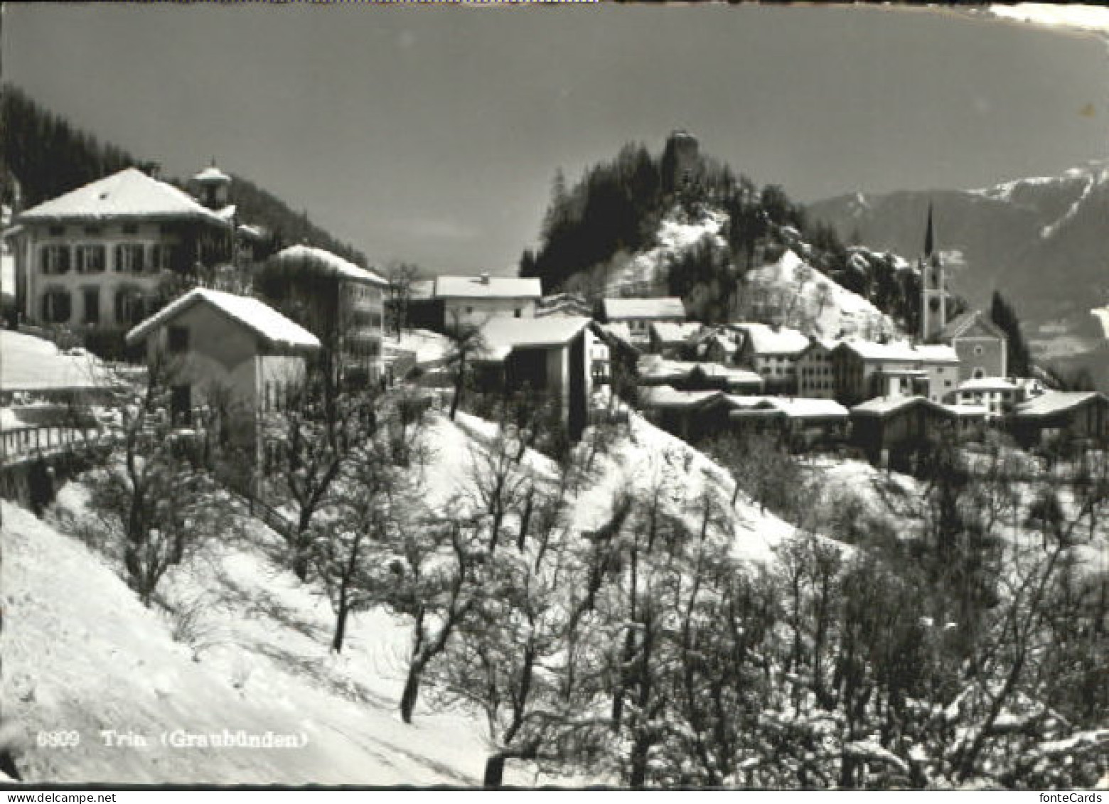 Trin  x 1960