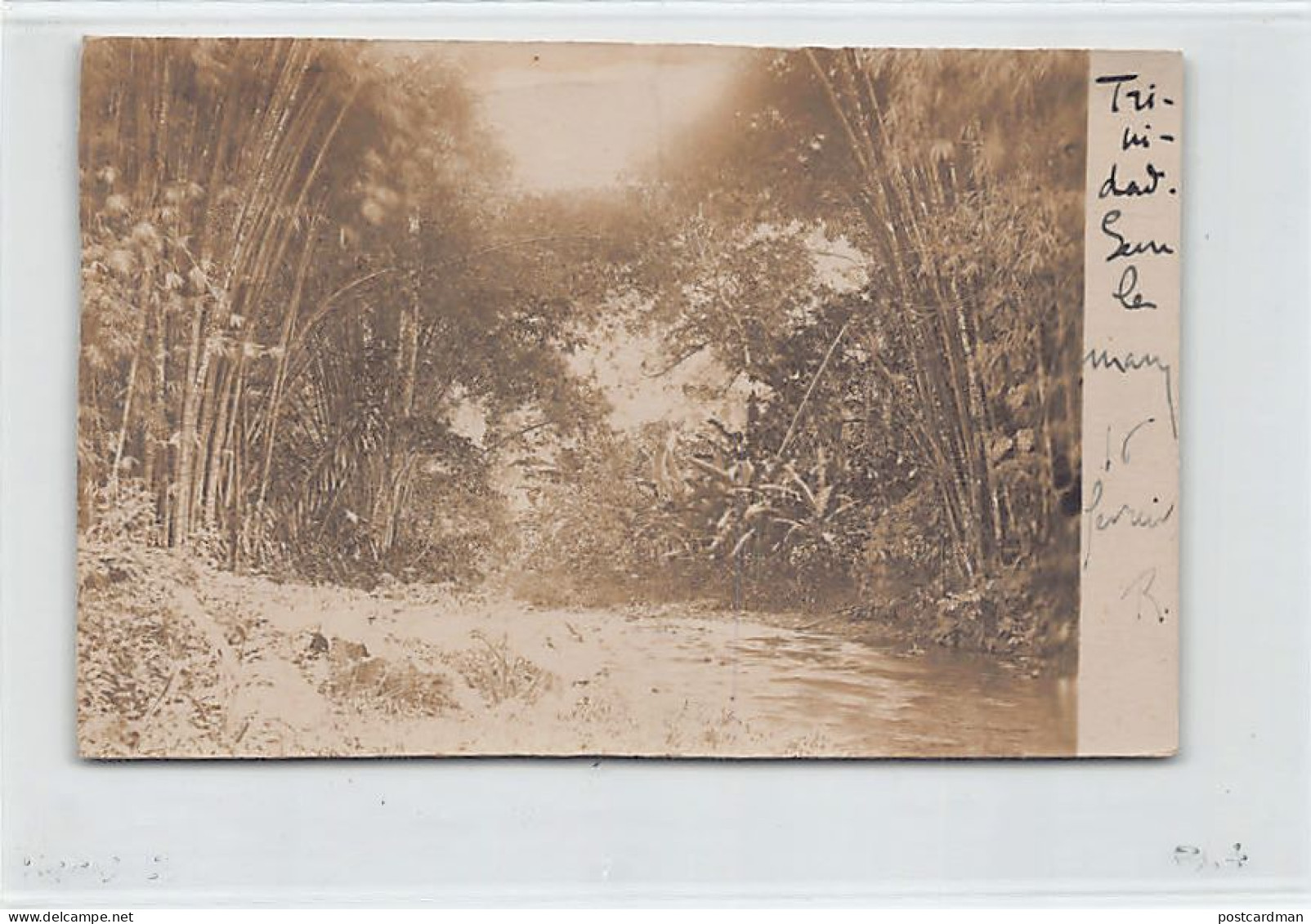 Trinidad - A river - REAL PHOTO Year 1906