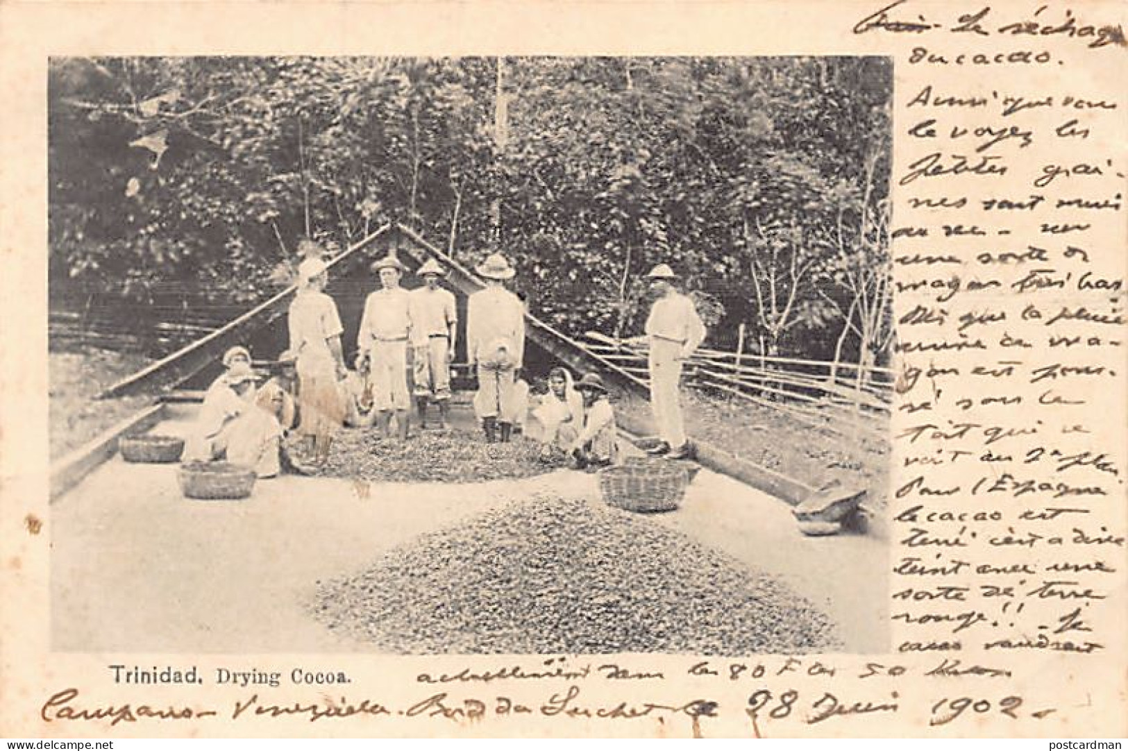Trinidad - Drying cocoa - Publ. unknown