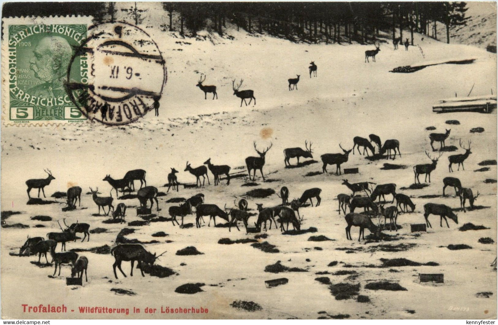 Trofaiach/Steiermark - Wildfütterung in der Löscherhube