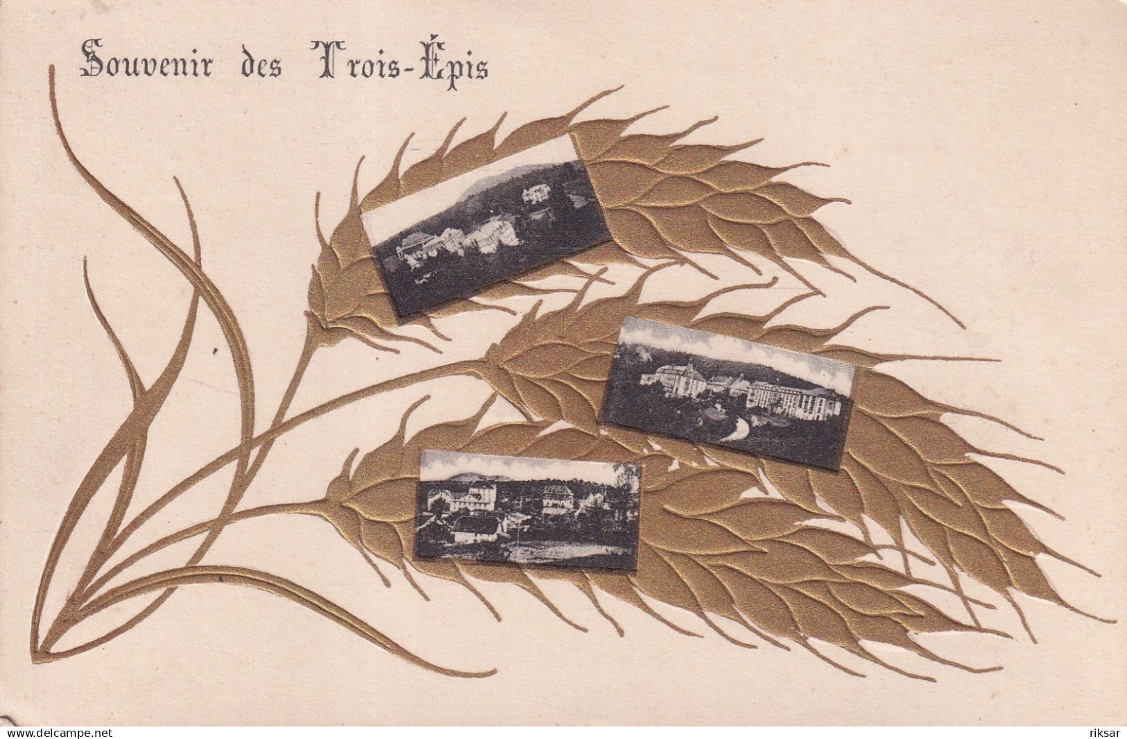 TROIS EPIS(CARTE GAUFREE)