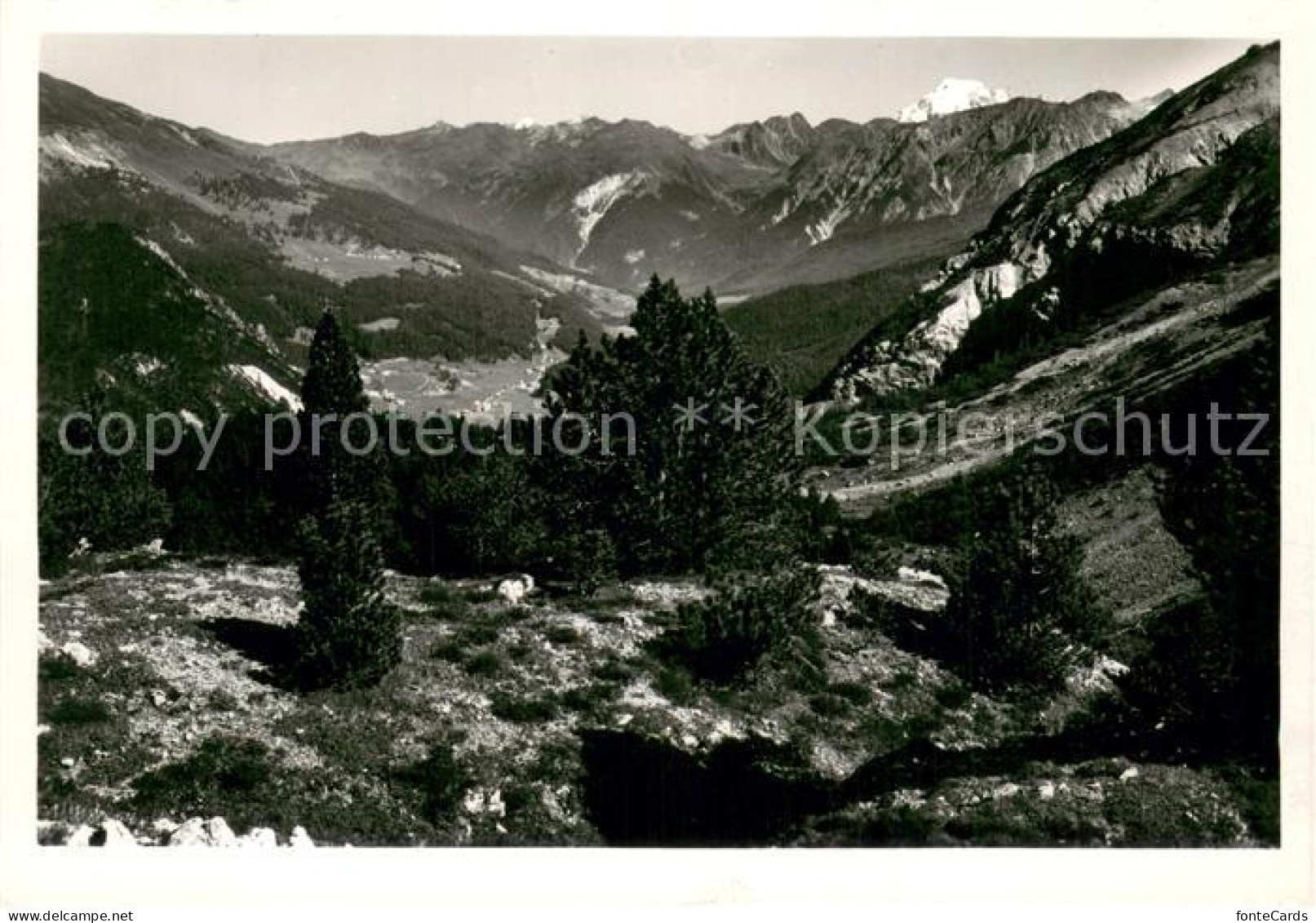 Tschierf Tschierv GR Blick von Suesom Gyvé Ofenbergpasshoehe ins Muenstertal Alp