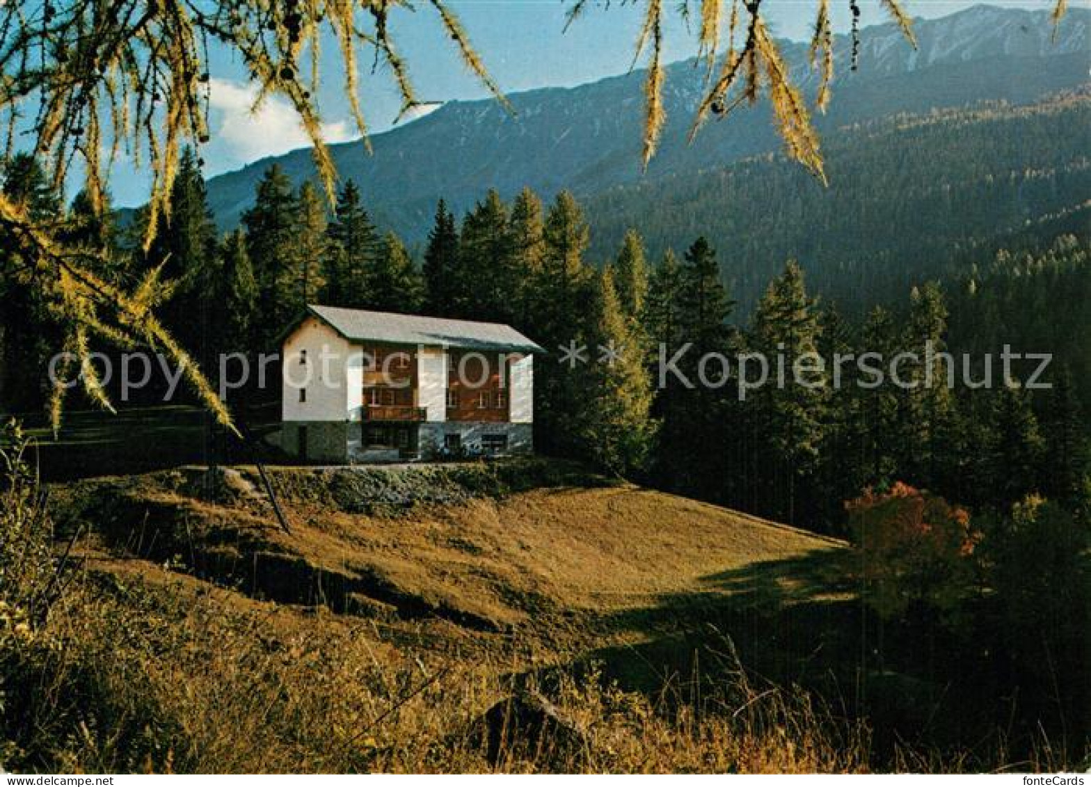 Tschierv Ferienkolonieheim Chasa Ramoschin