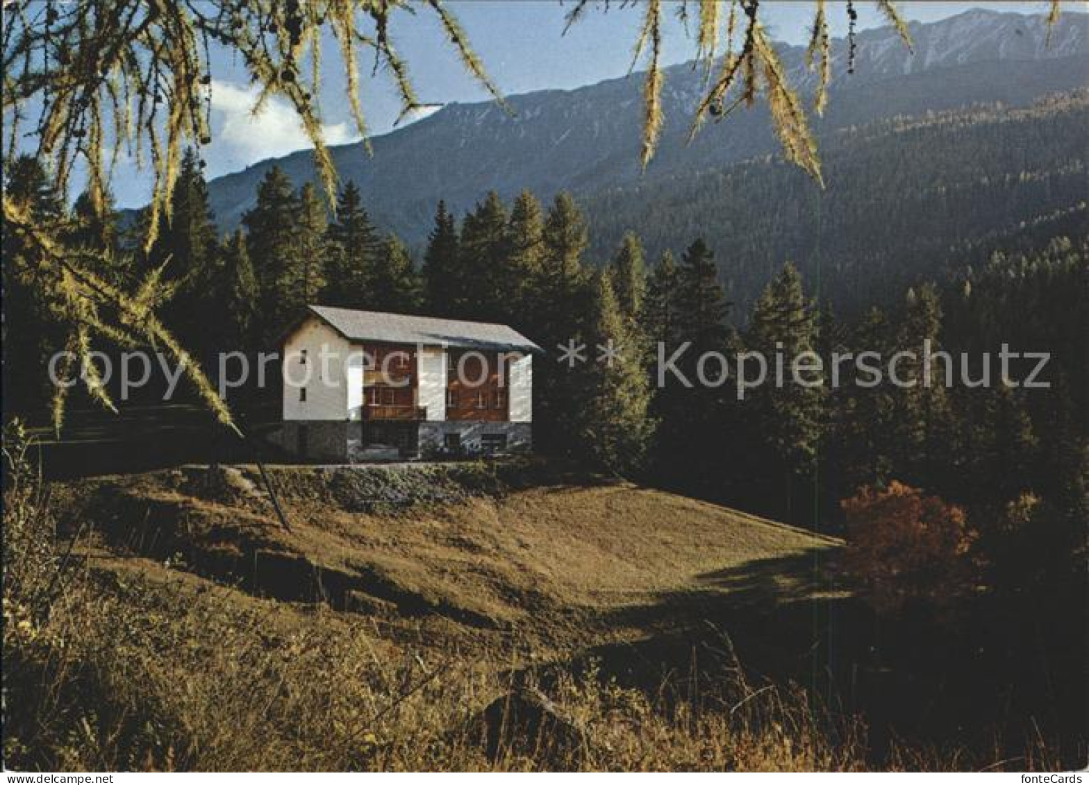 Tschierv Ferienkolonieheim Chasa Ramoschin