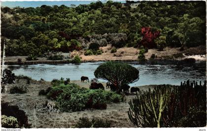 PC CHAD TCHAD DAUNE AFRICAINE ELEPHANTS (a53700)