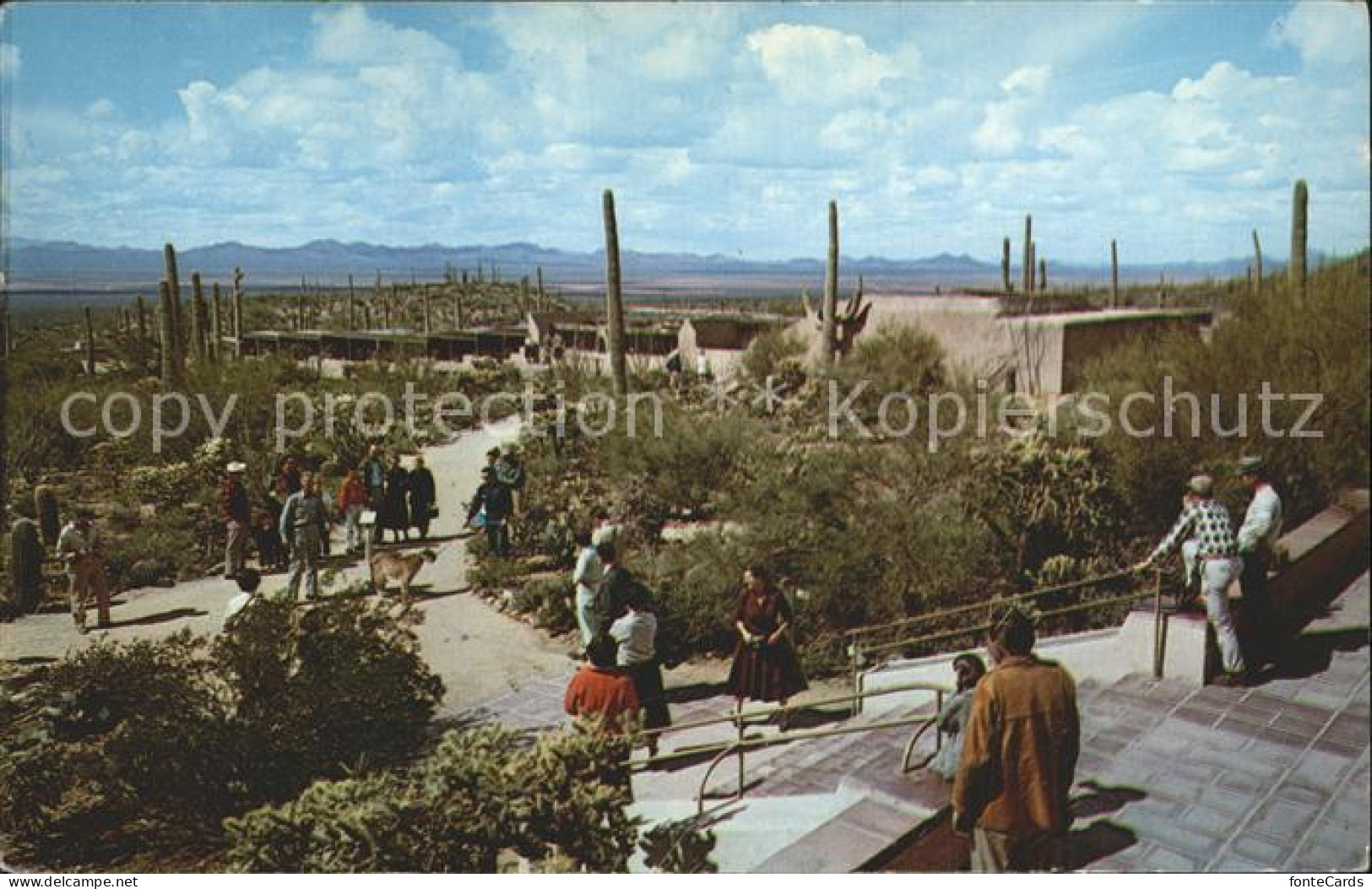 Tucson Arizona Sonora Desert Museum