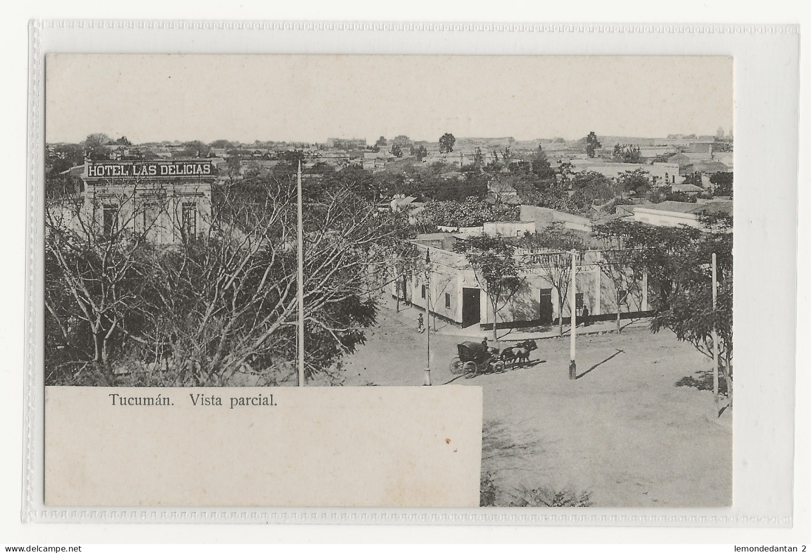 Tucumán. Vista parcial. *