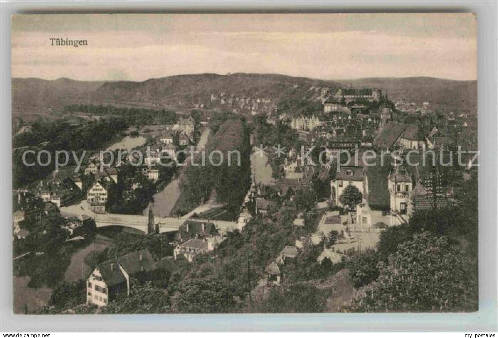 TueBINGEN BW Fliegeraufnahme